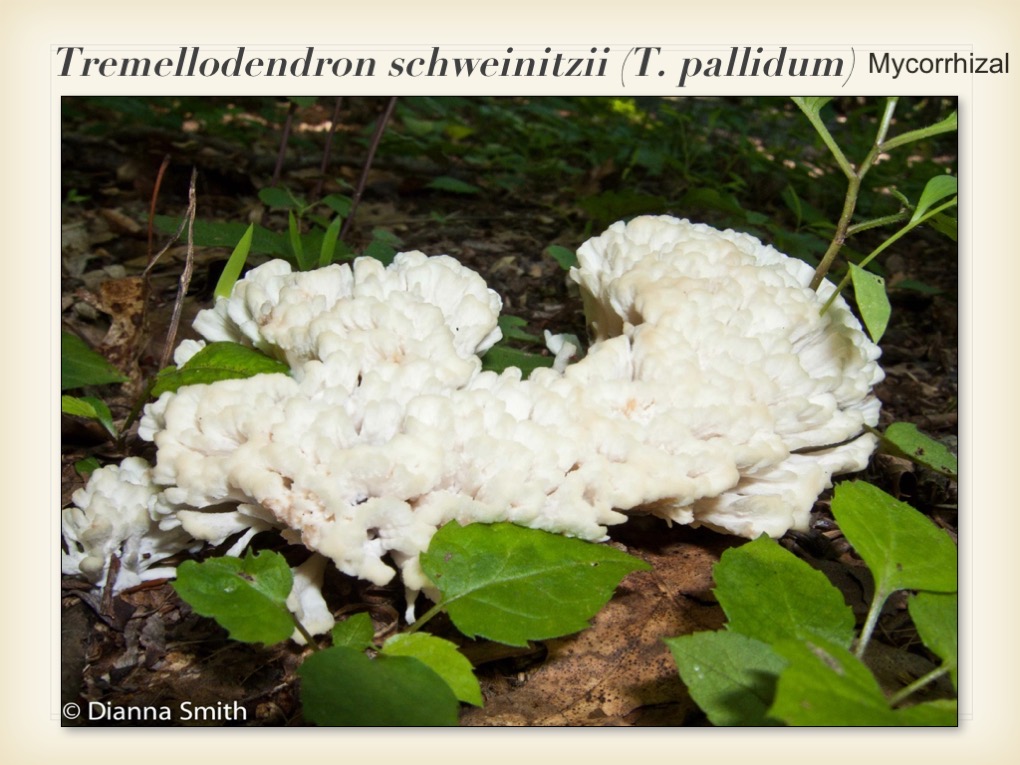 Slide107