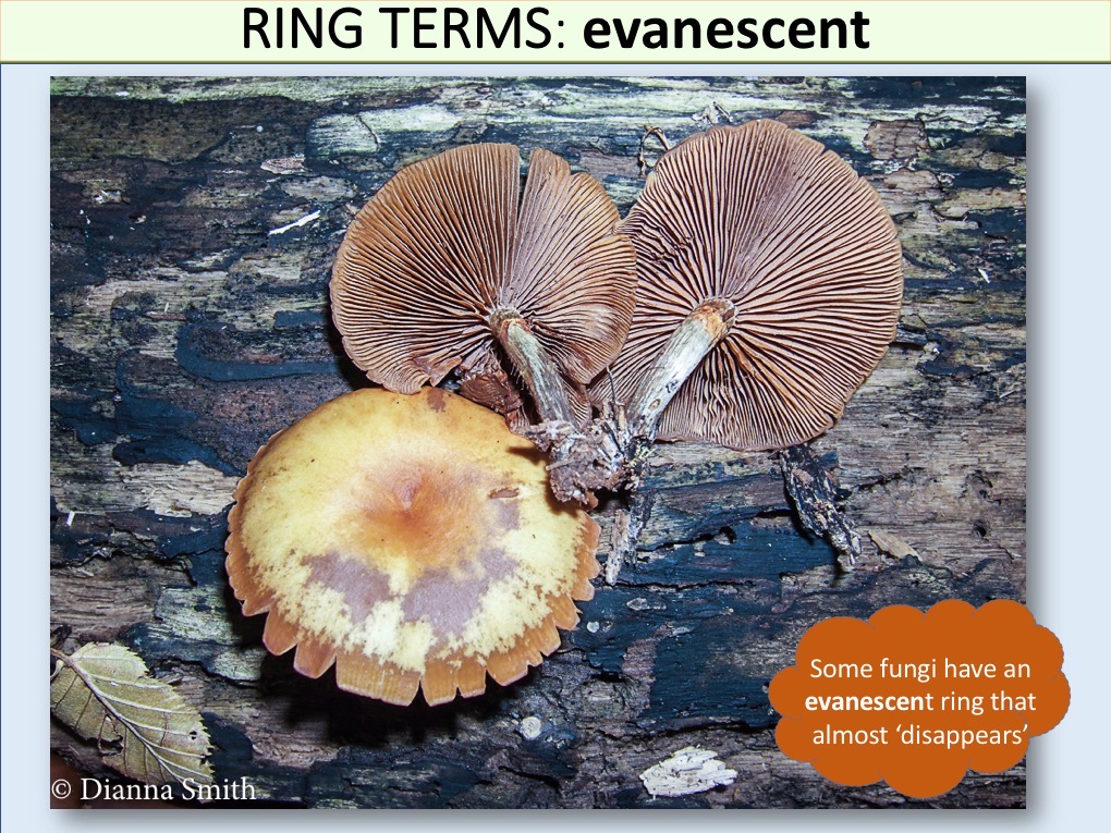 Slide107