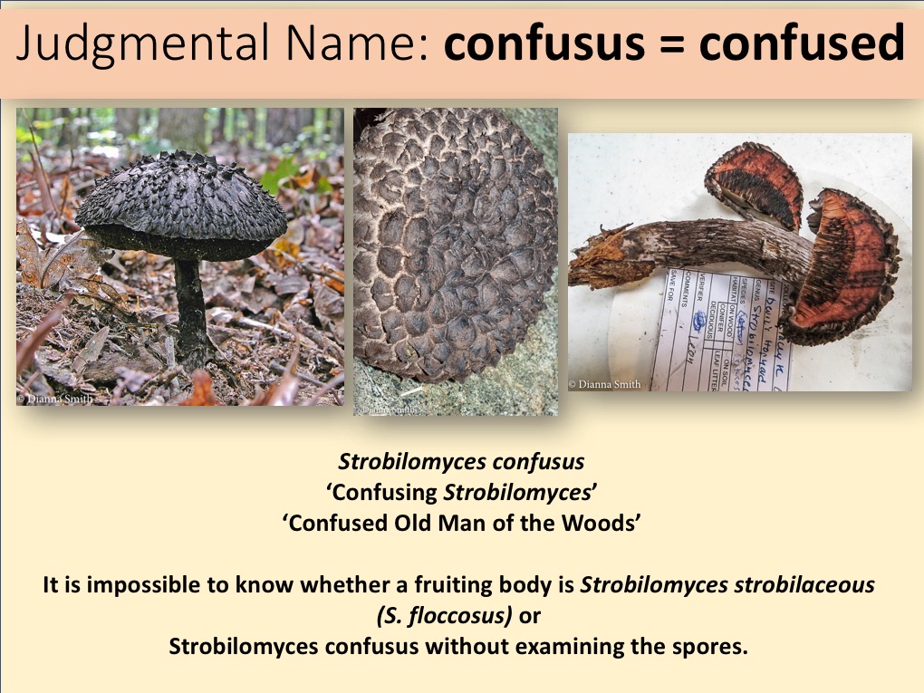 Slide108