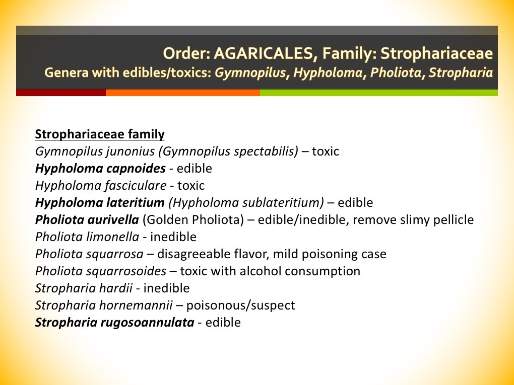 Slide108