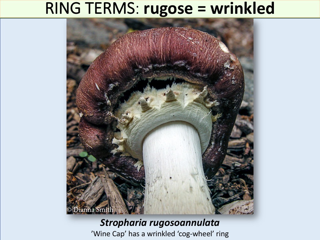 Slide108
