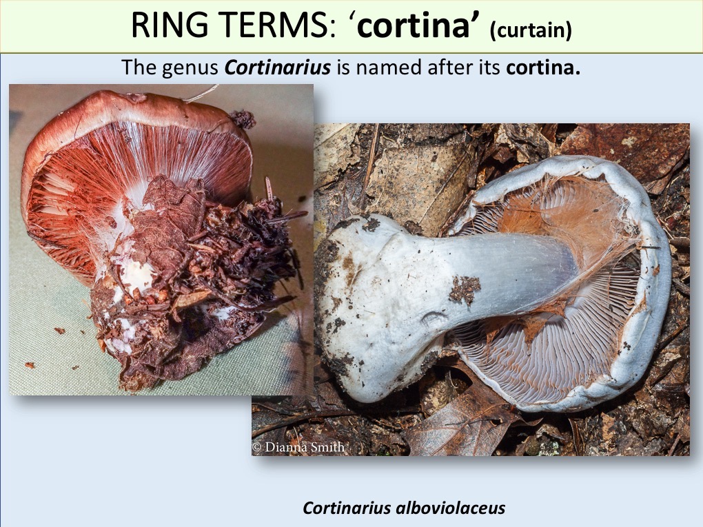 Slide109