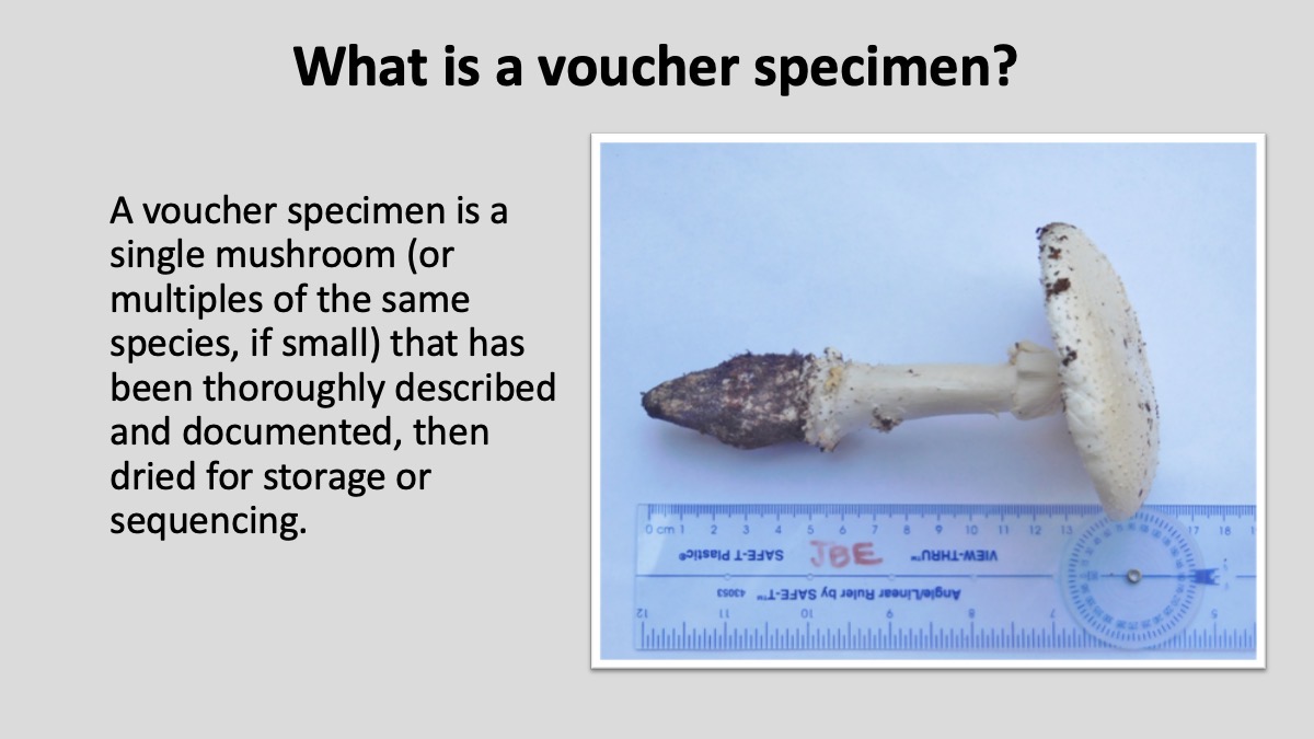 Slide11