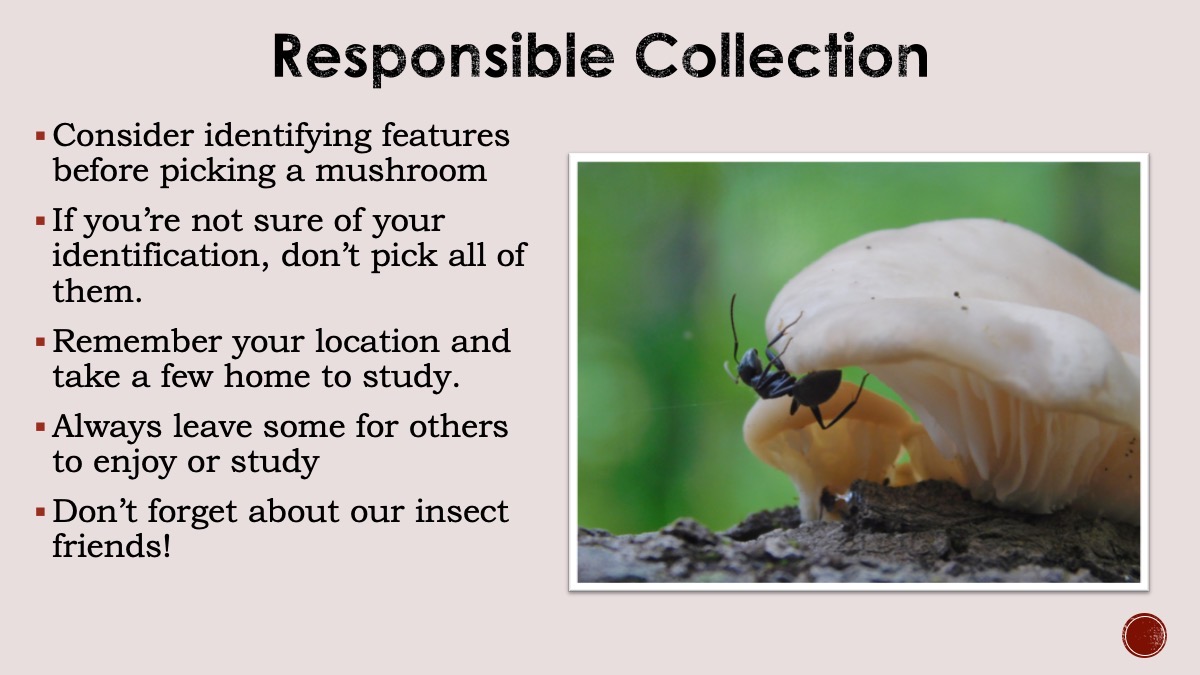 Slide11