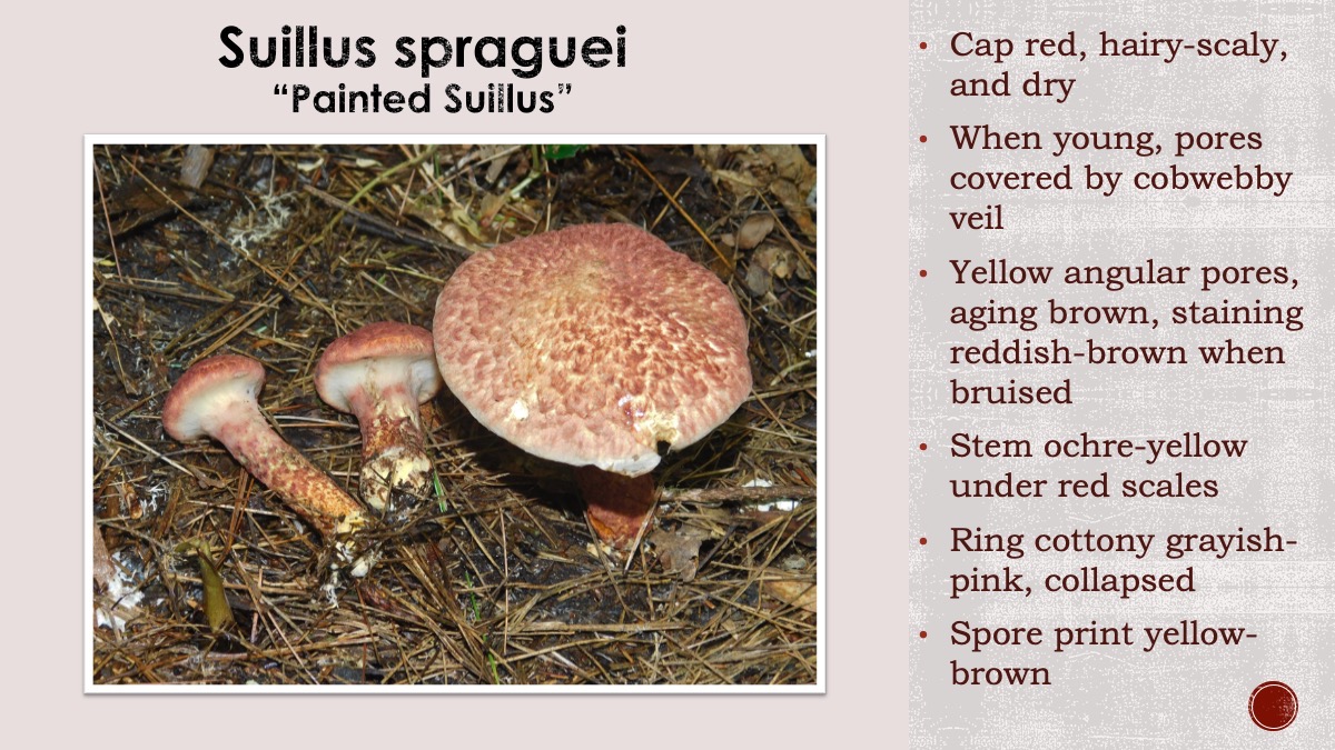 Slide110
