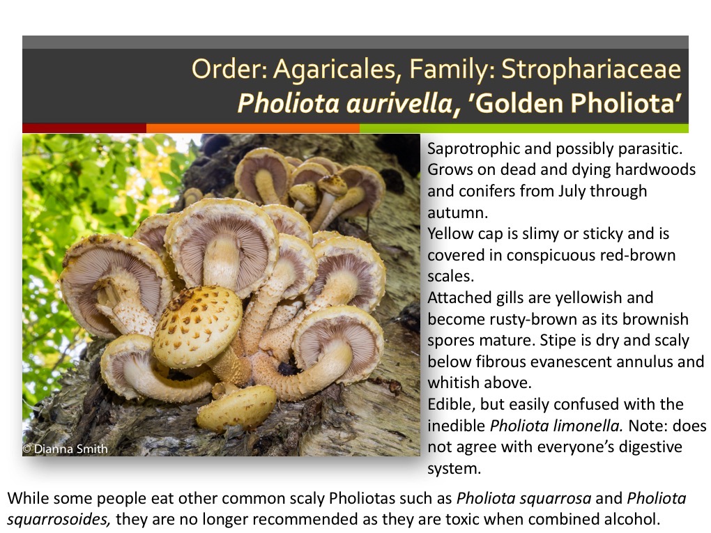 Slide110