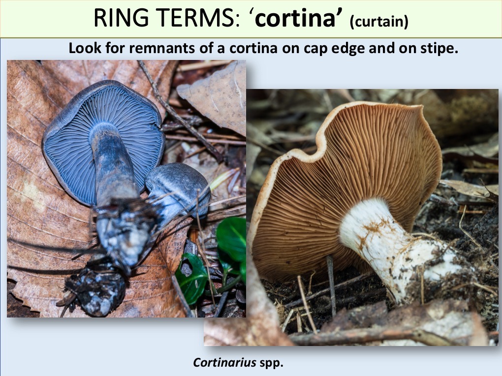 Slide110