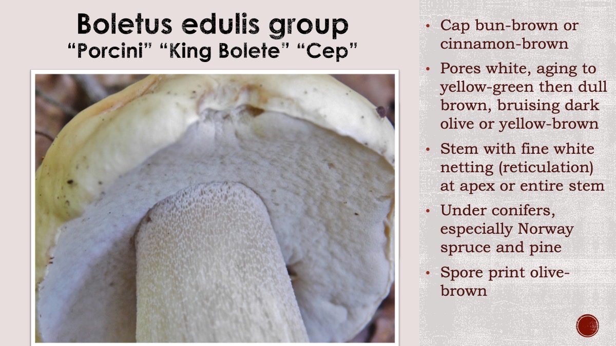 Slide111
