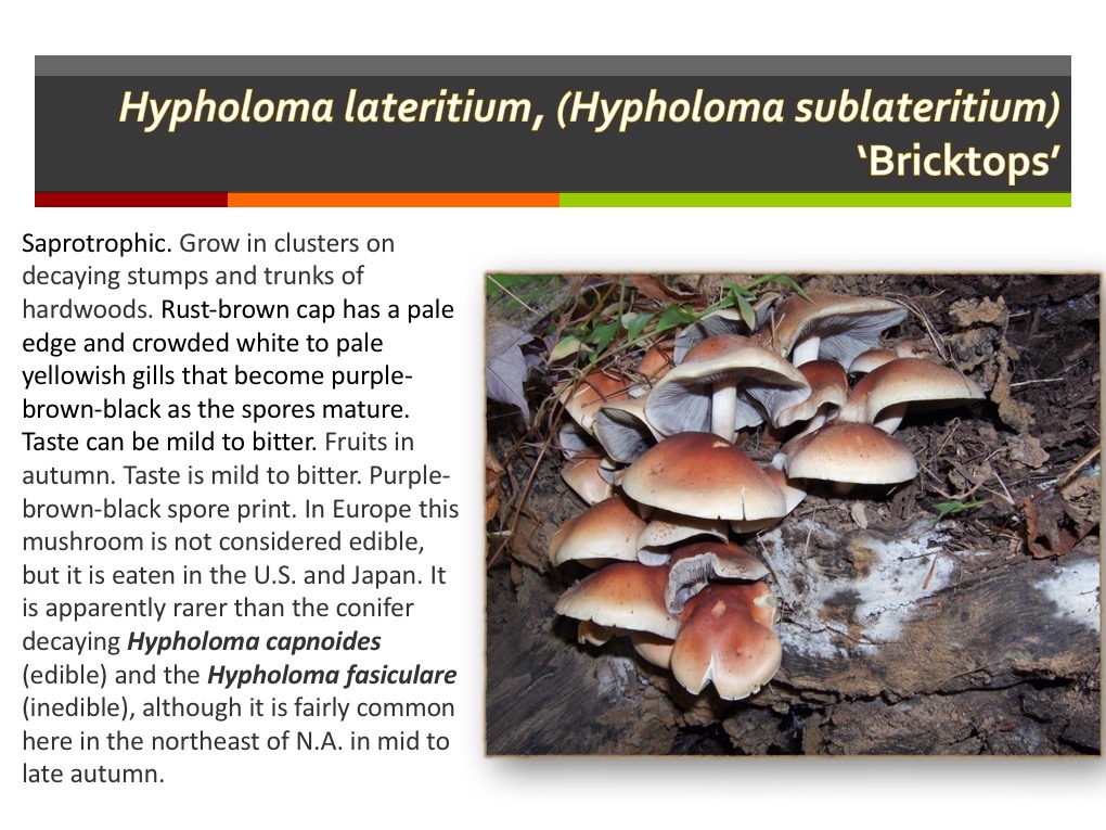Slide111