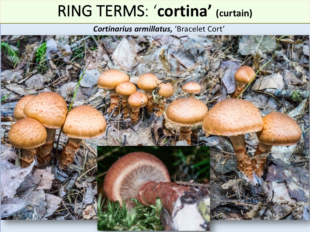 Slide111
