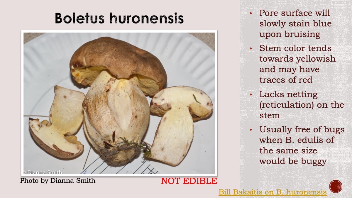 Slide112