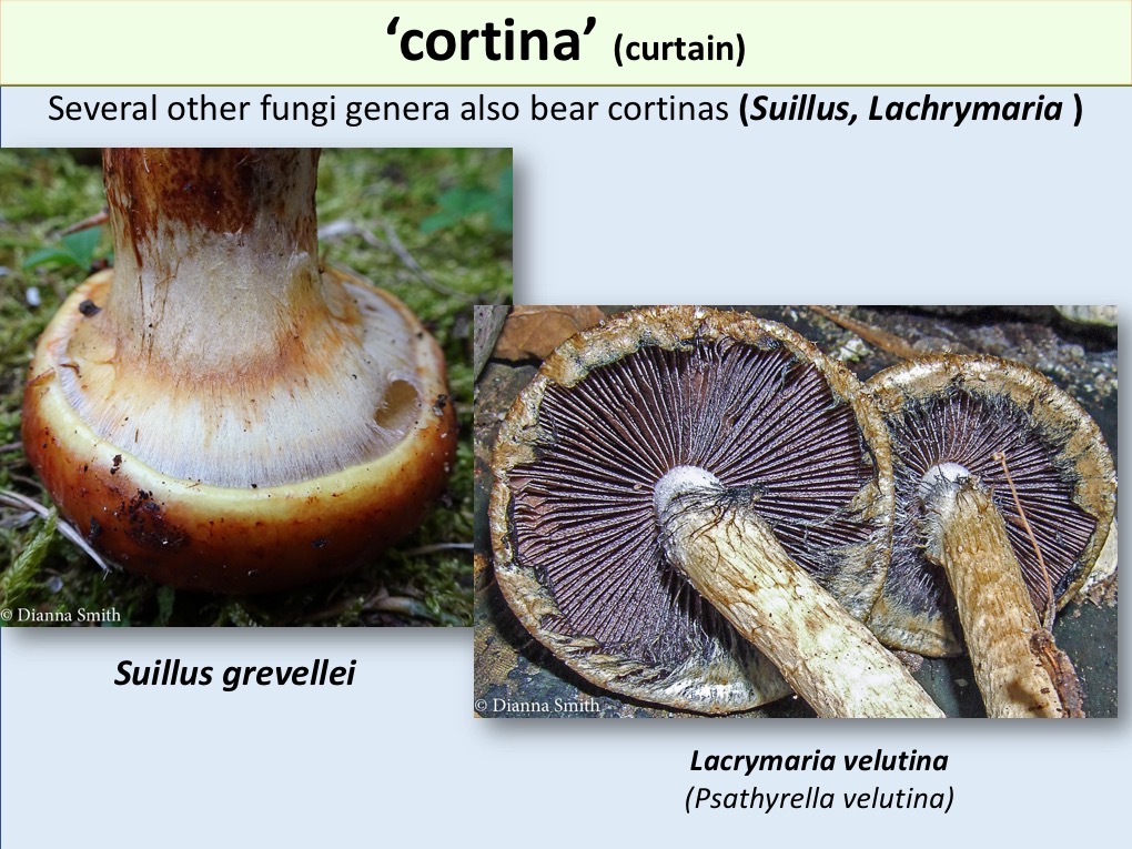 Slide112