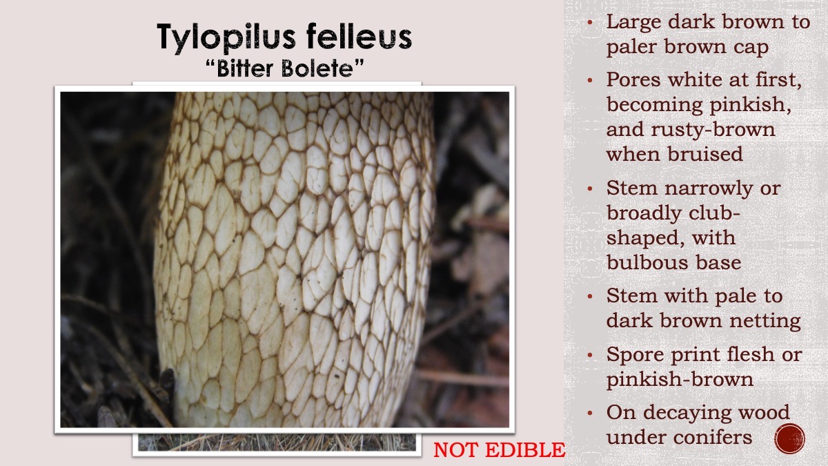 Slide113