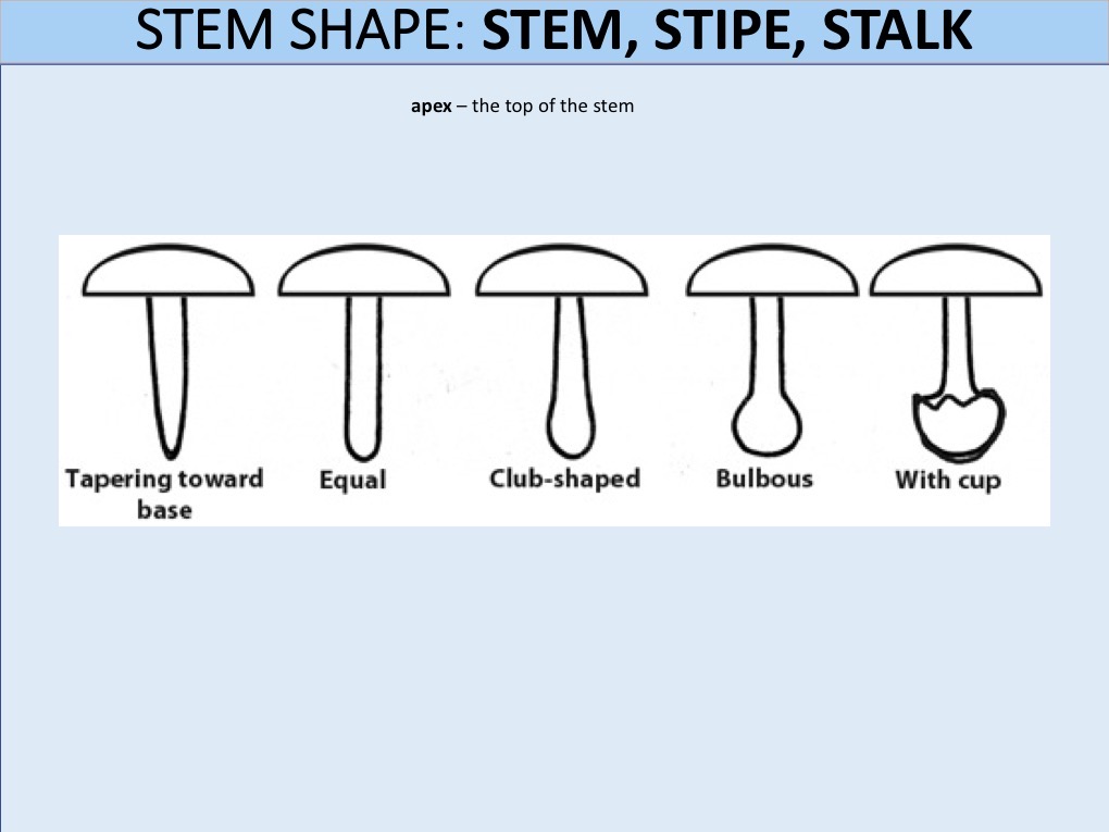 Slide113