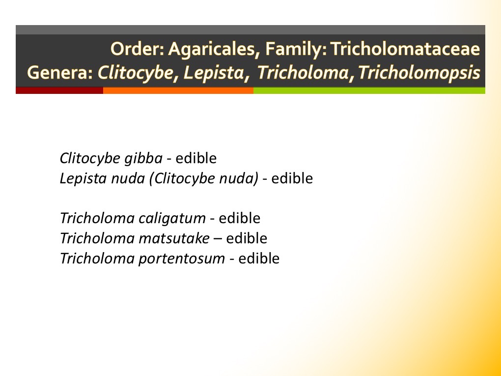 Slide114