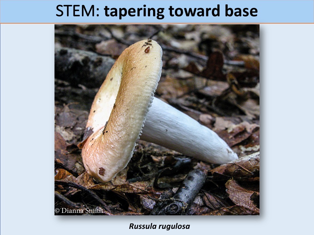 Slide114