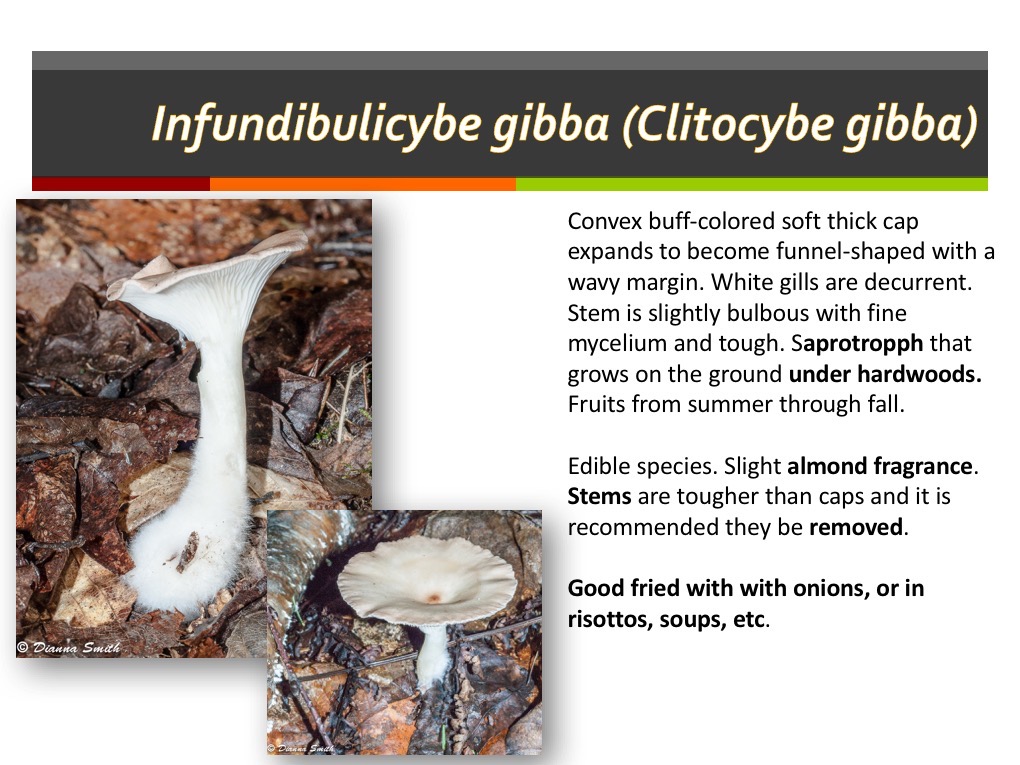 Slide115