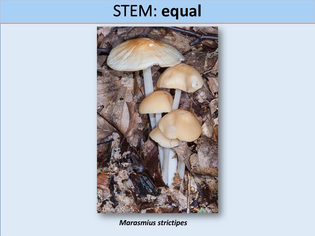Slide115