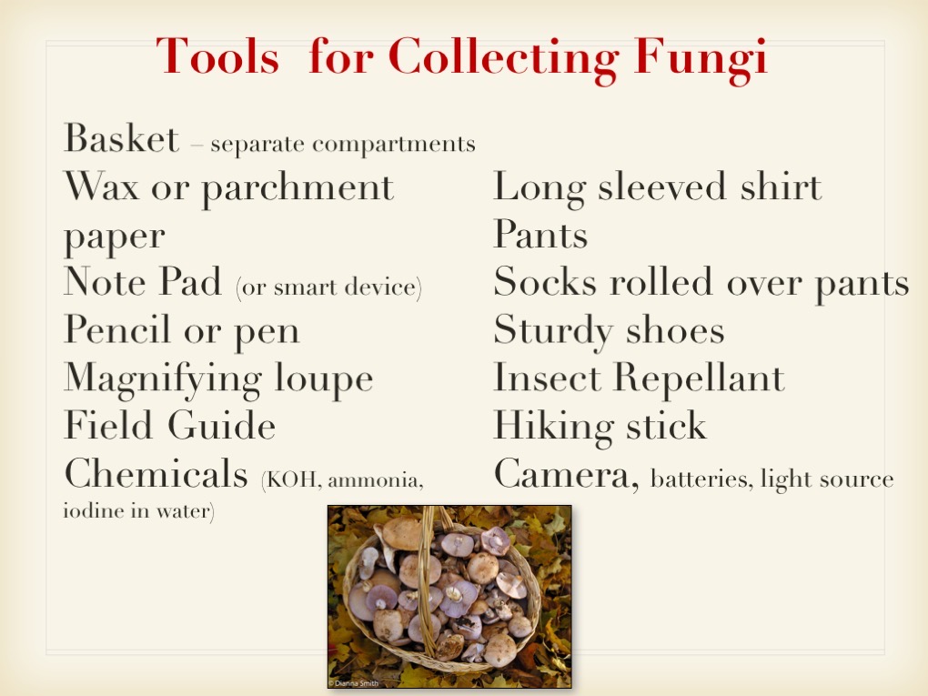 Slide116