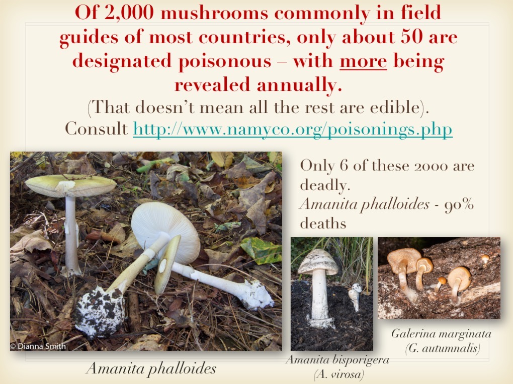 Slide117