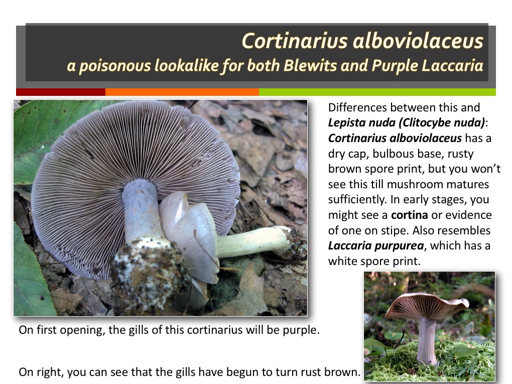 Slide117