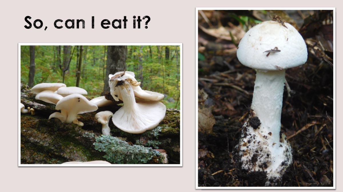 Slide118