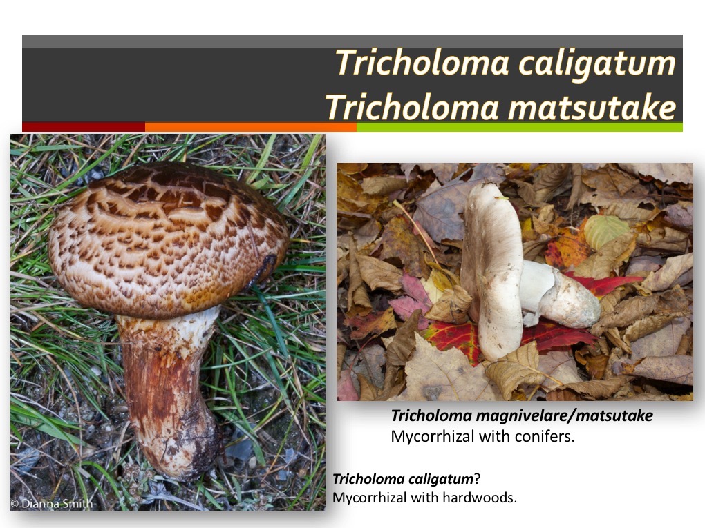 Slide118