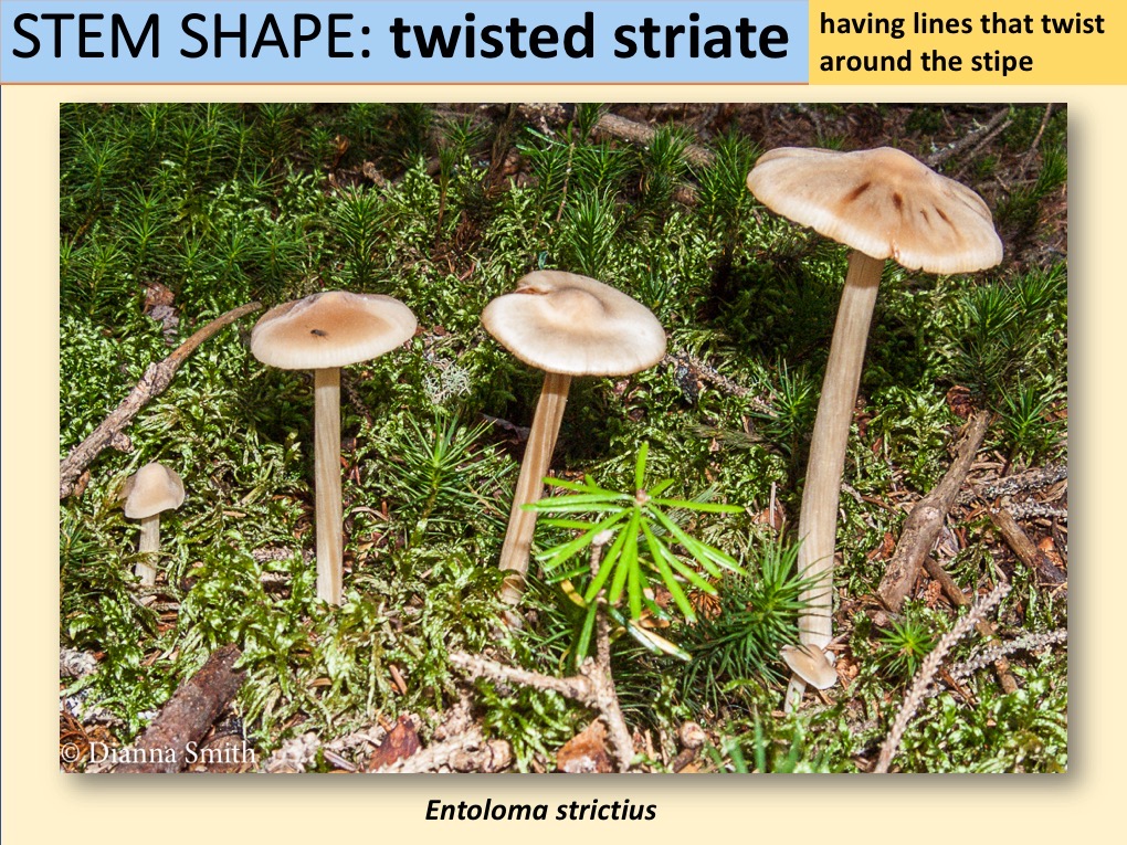 Slide118