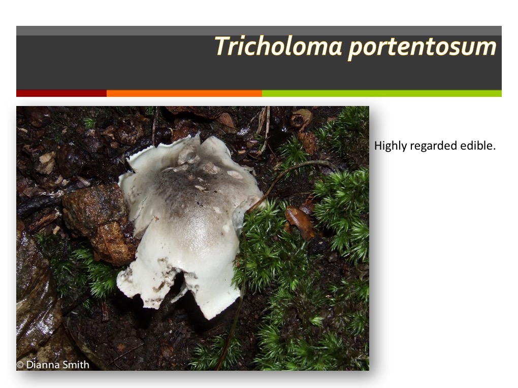 Slide119