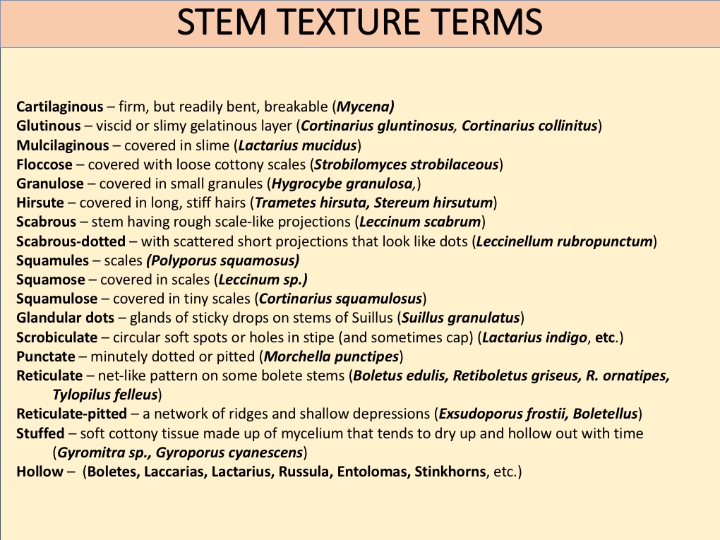 Slide119
