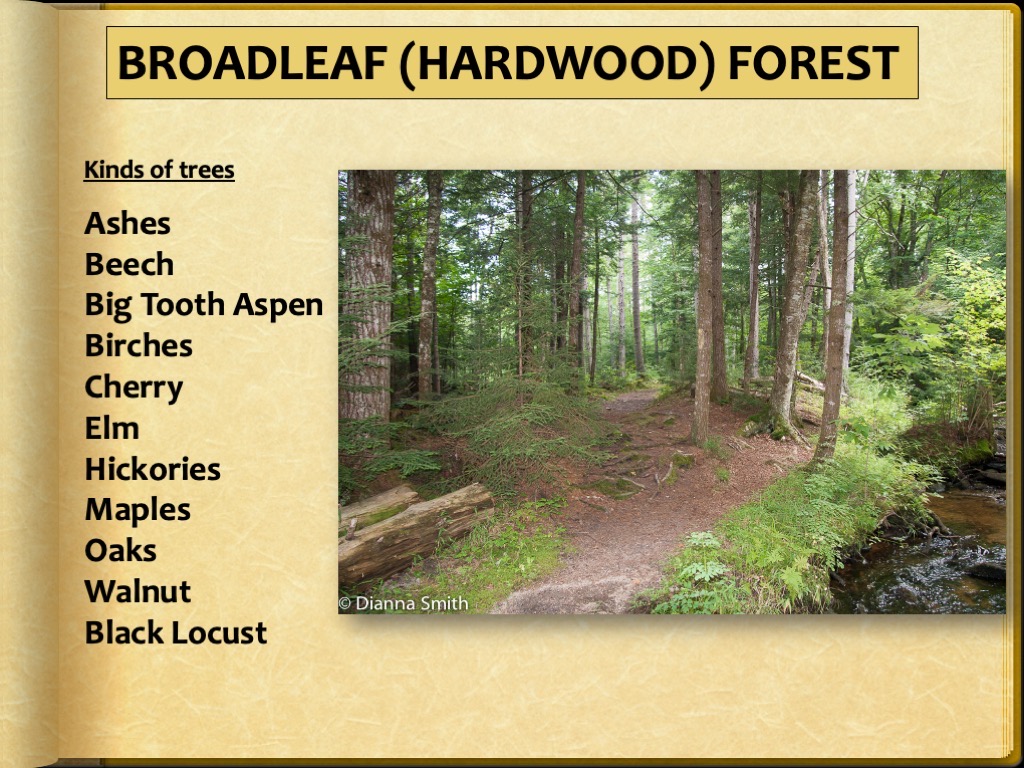 Slide12