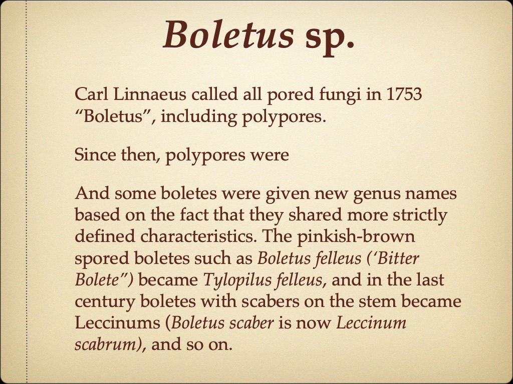Slide12