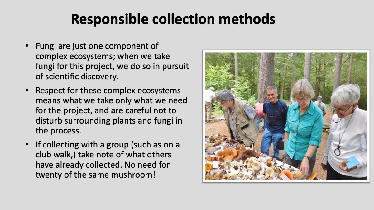 Slide12