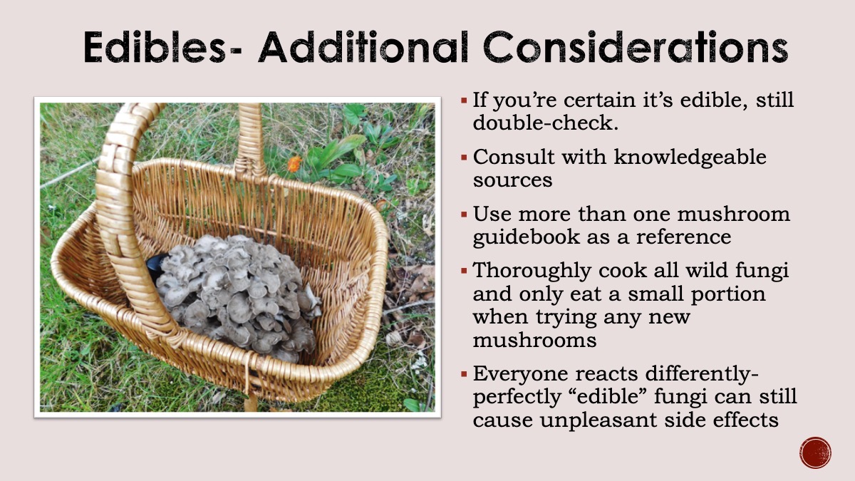 Slide12