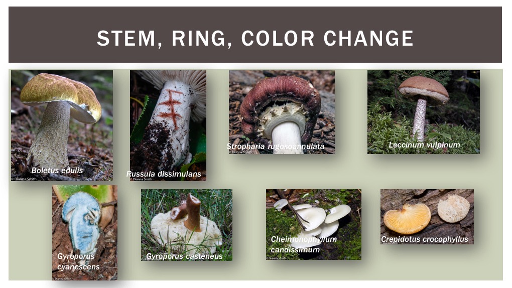 Slide12