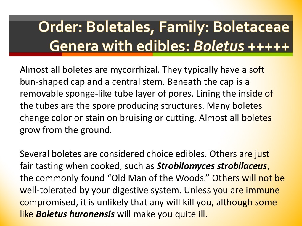 Slide120
