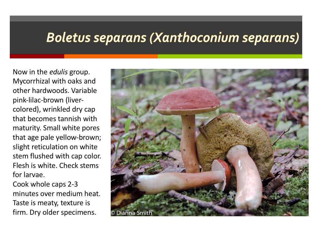 Slide122