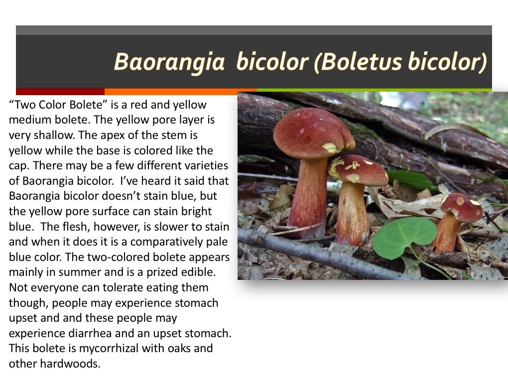 Slide123
