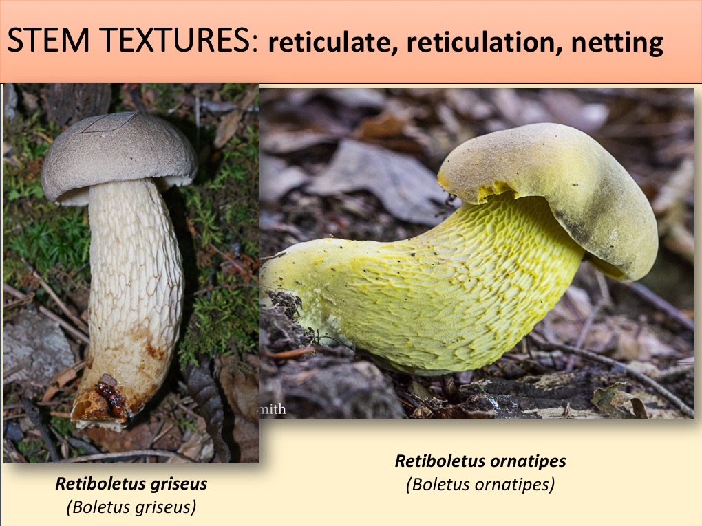 Slide123