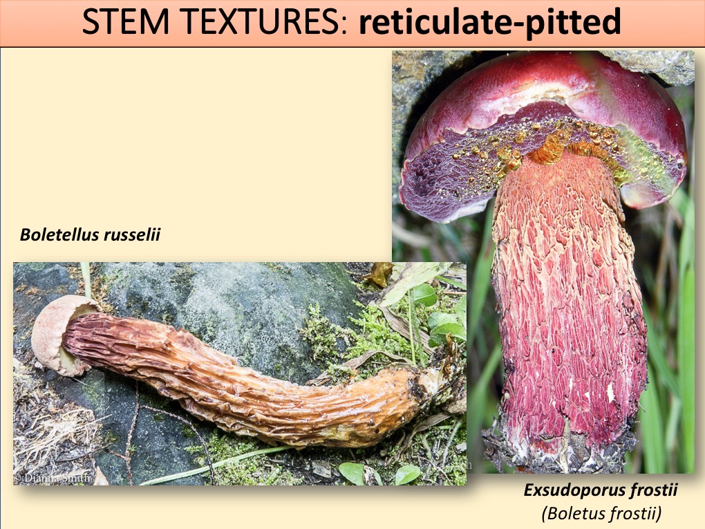 Slide124