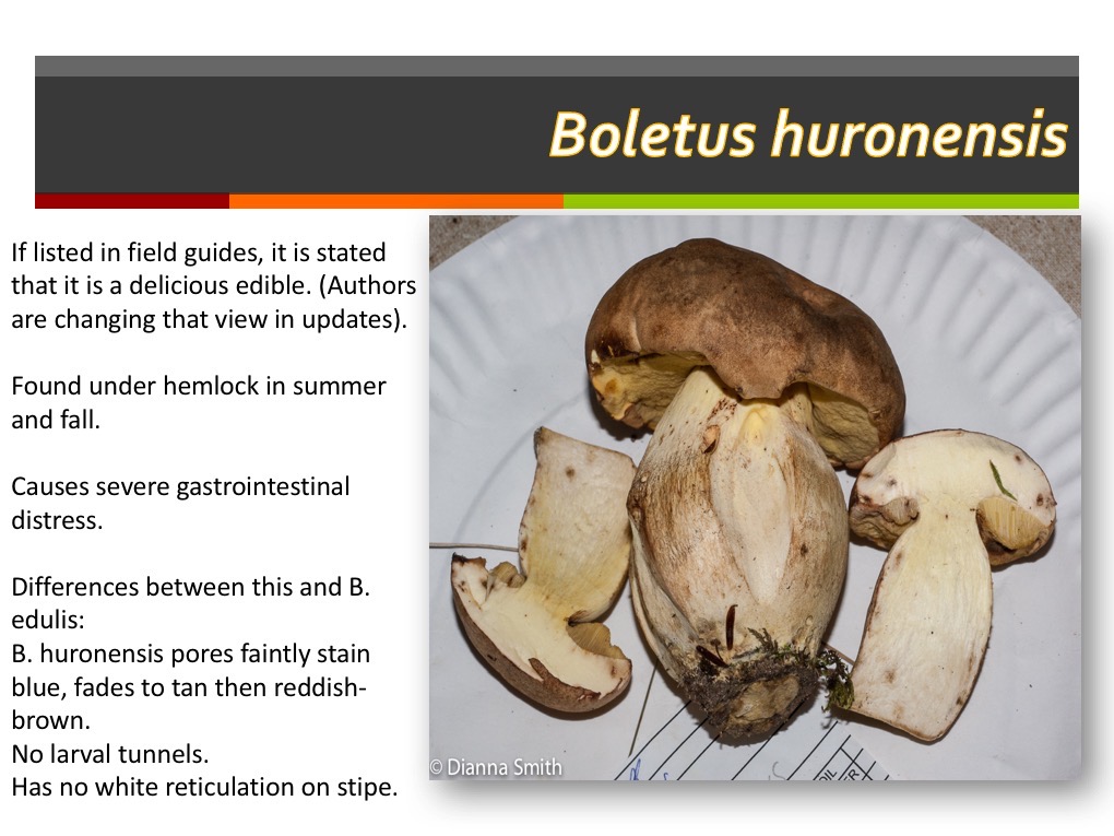 Slide125