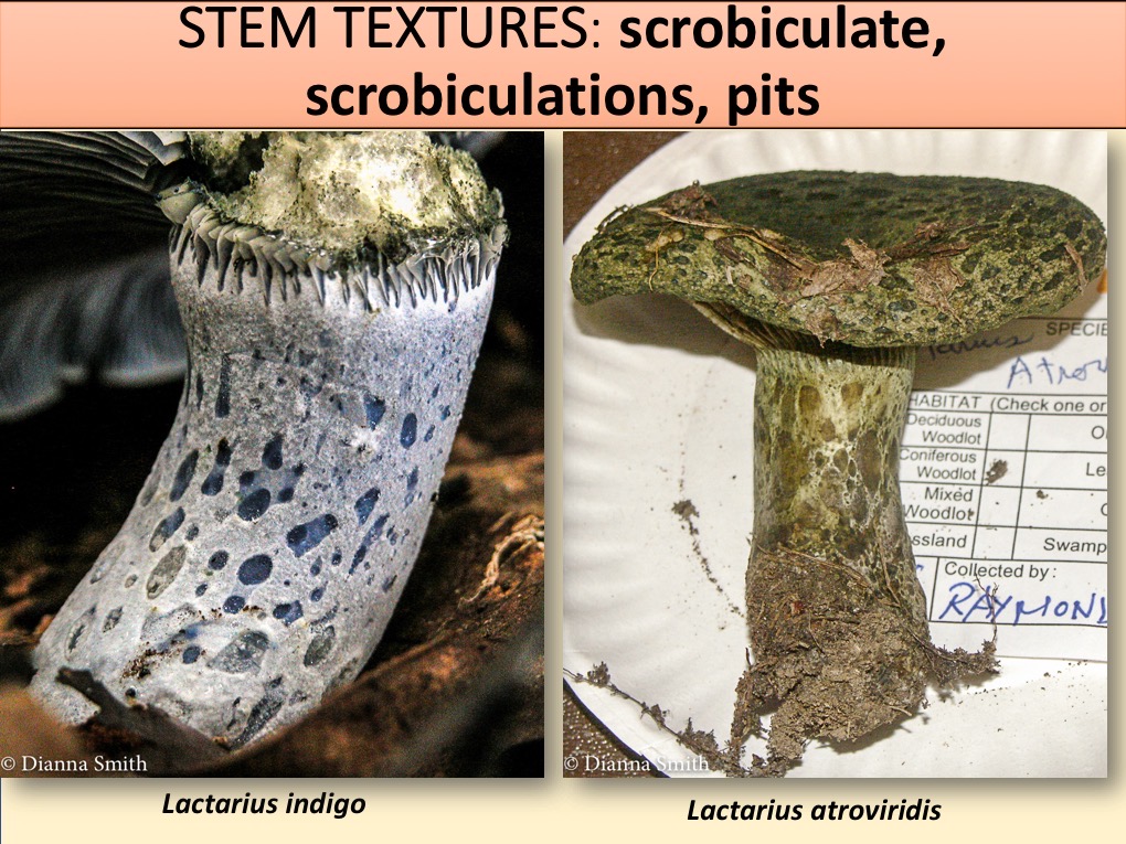 Slide125