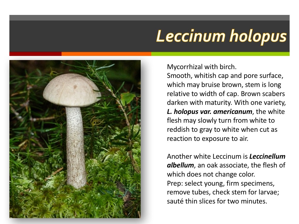 Slide126