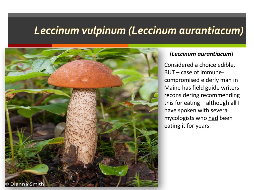 Slide128