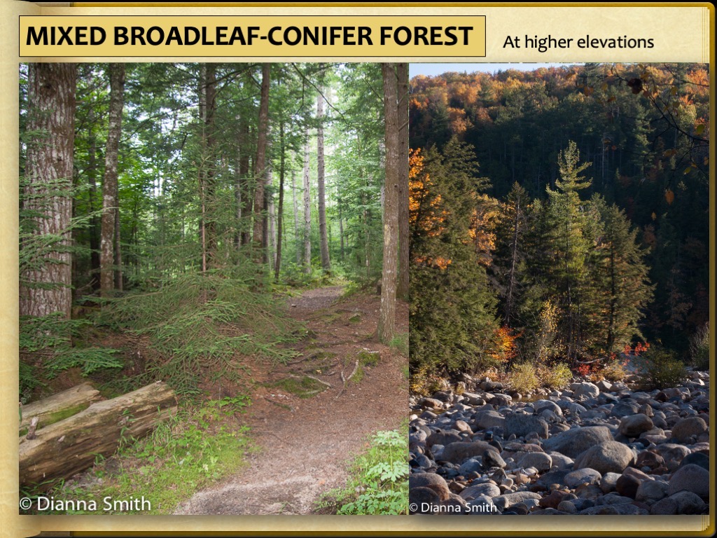 Slide13