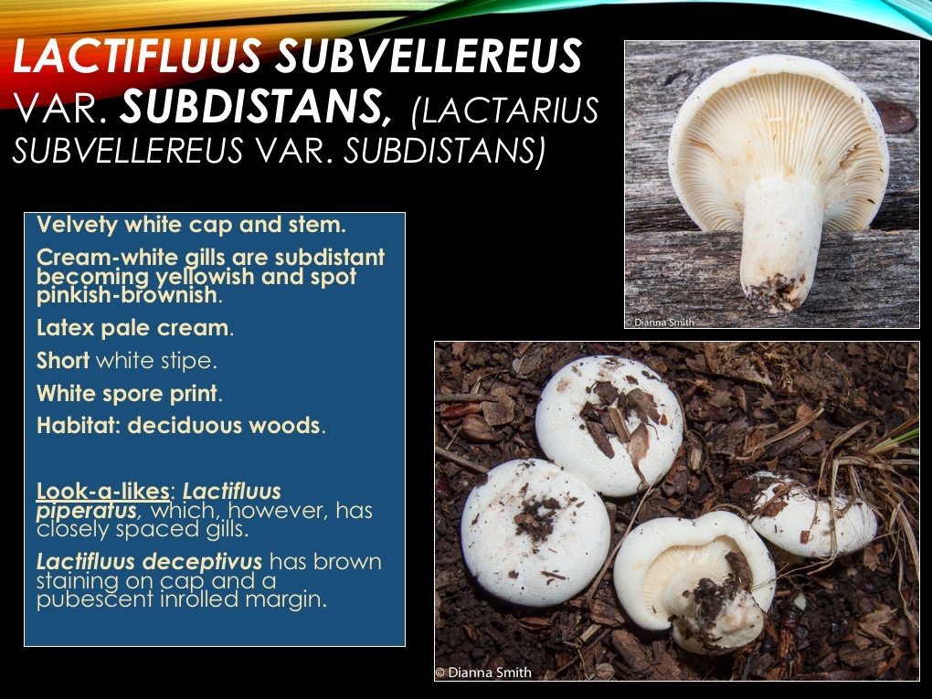 Slide13