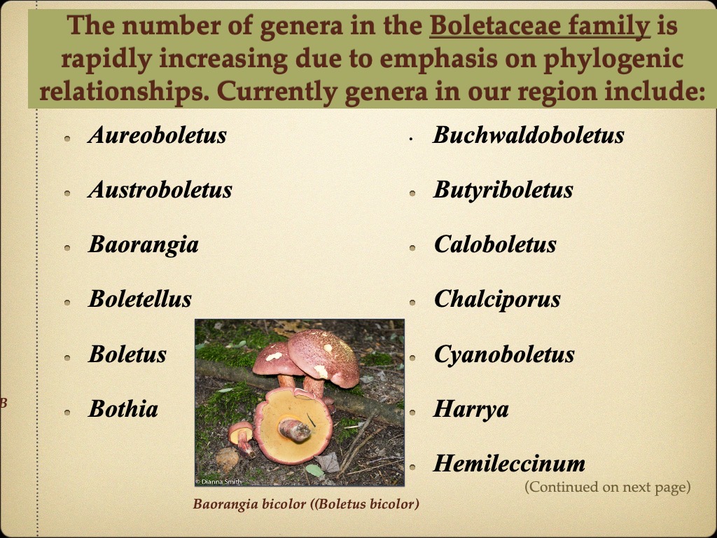 Slide13