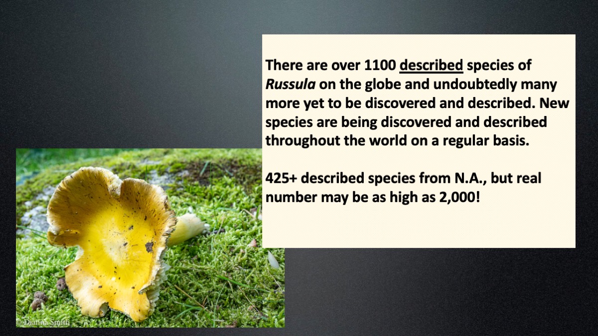 Slide13
