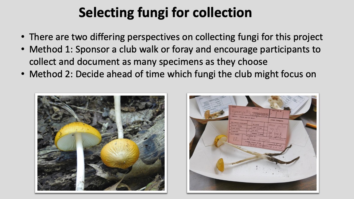 Slide13