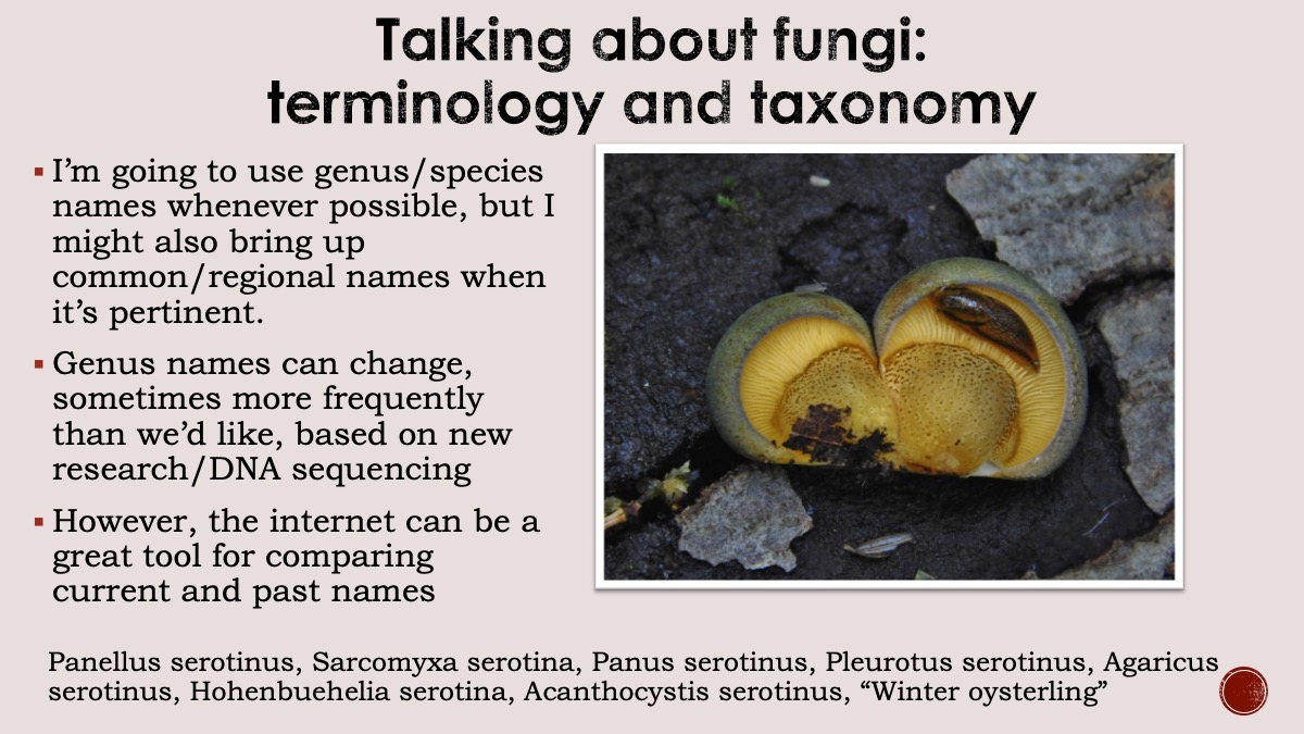 Slide13